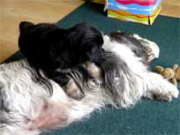 Osterwochenende 2010 Osterwochenende 2010