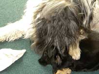 Osterwochenende 2010 Osterwochenende 2010