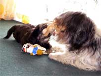 Osterwochenende 2010 Osterwochenende 2010