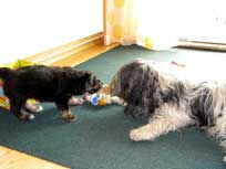 Osterwochenende 2010 Osterwochenende 2010