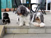 Osterwochenende 2010