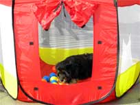 Osterwochenende 2010