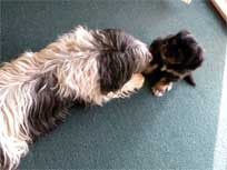 Osterwochenende 2010 Osterwochenende 2010