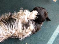 Osterwochenende 2010 Osterwochenende 2010