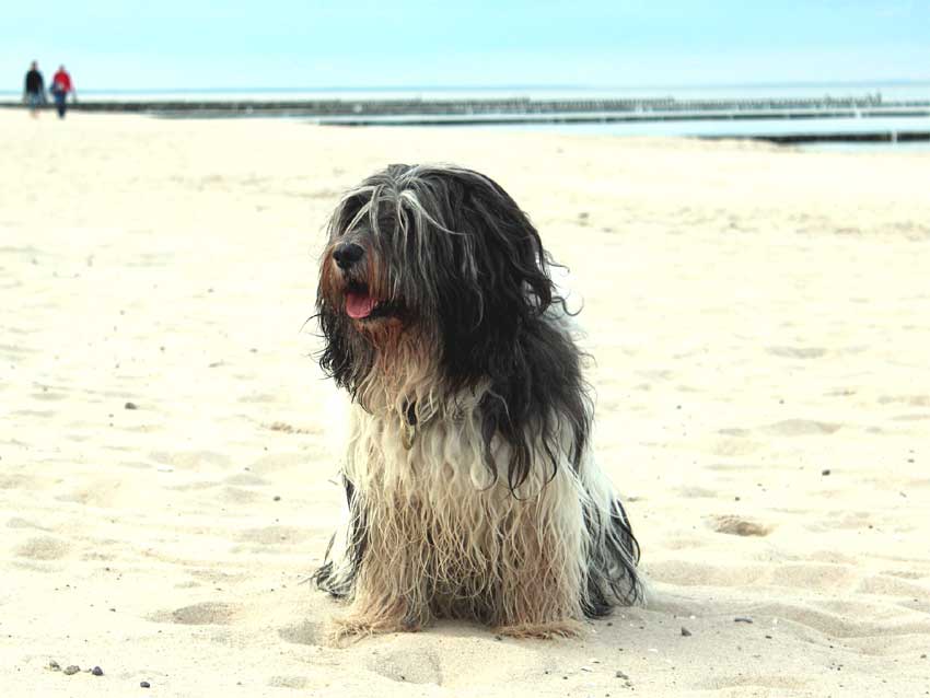 Oktober 2012 - Usedom