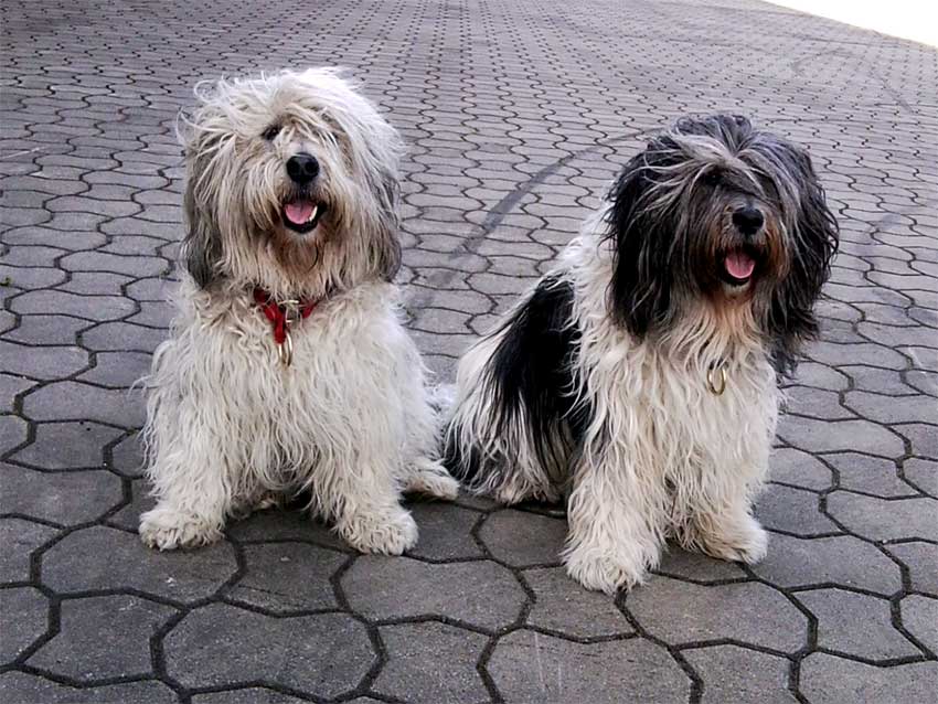 April 2012 - Wanda und Patka