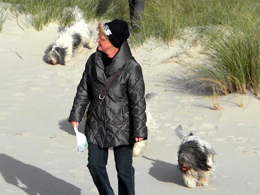 Oktober 2011 - Dnemark