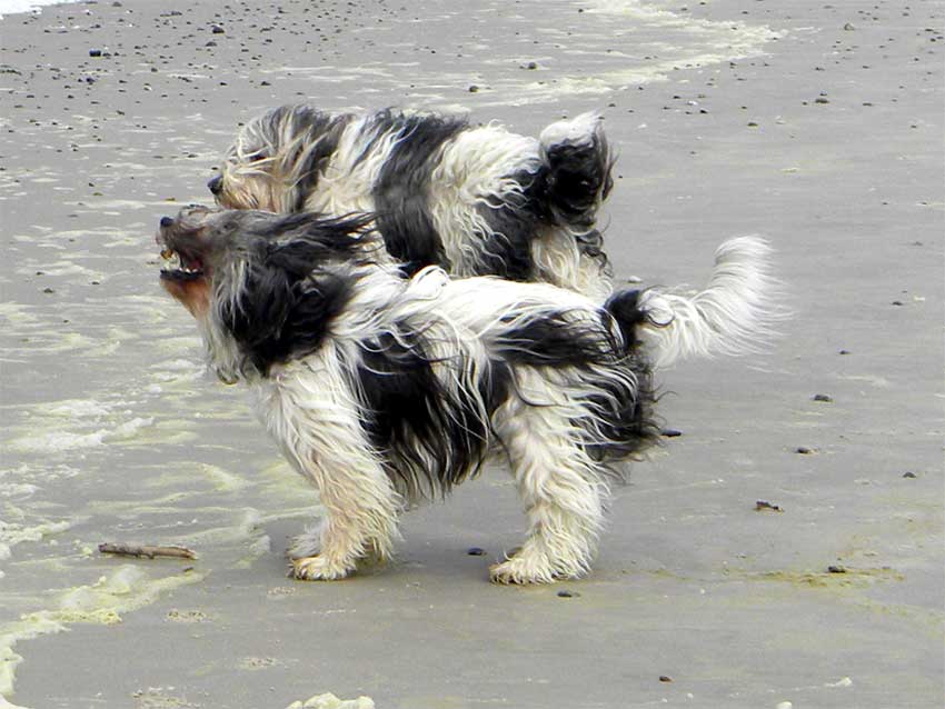 Oktober 2011 - Dnemark