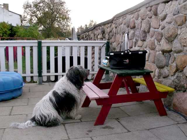 September 2011 - Das ist mein Korb !!