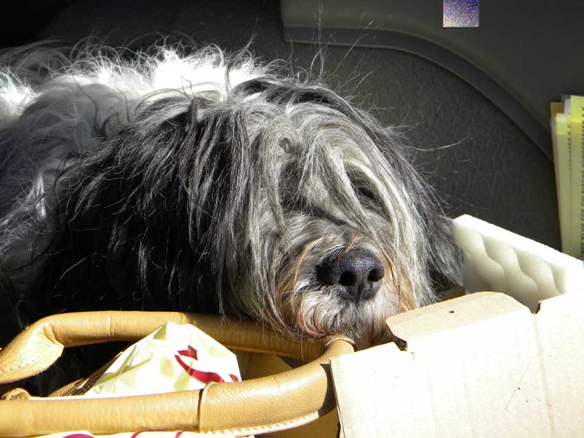 April 2011 - Mir ist ja so langweilig