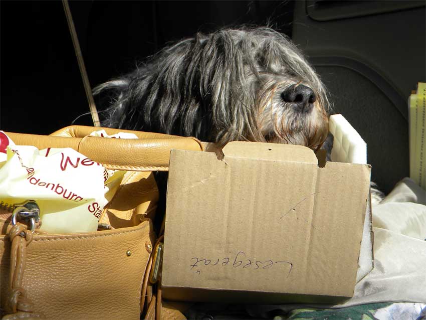 April 2011 - Mir ist ja so langweilig