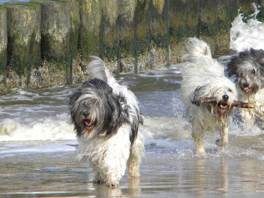 Oktober 2010 - Usedom 