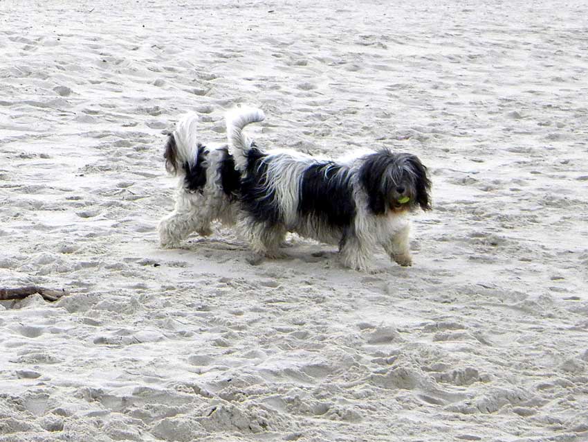 Oktober 2010 - Usedom 