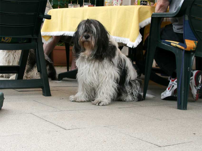 Juli 2009 - Standfoto