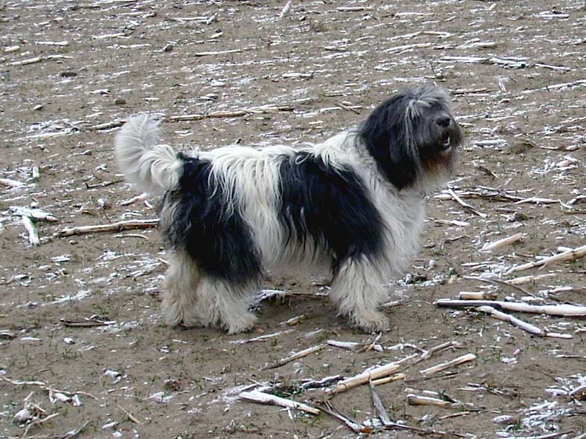 Januar 2009 - Standfoto