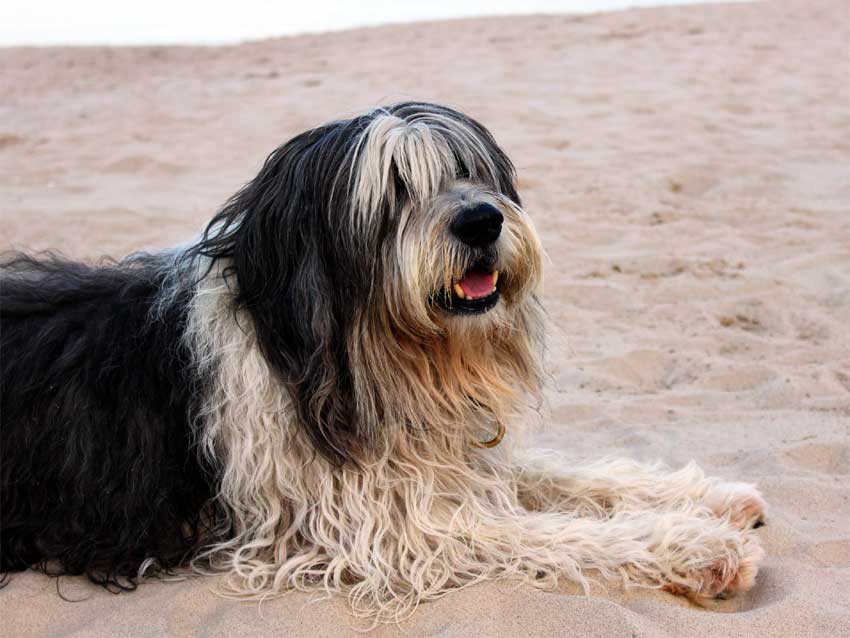 Oktober 2012 - Usedom