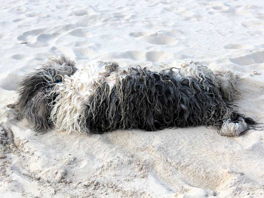 Oktober 2012 - Usedom