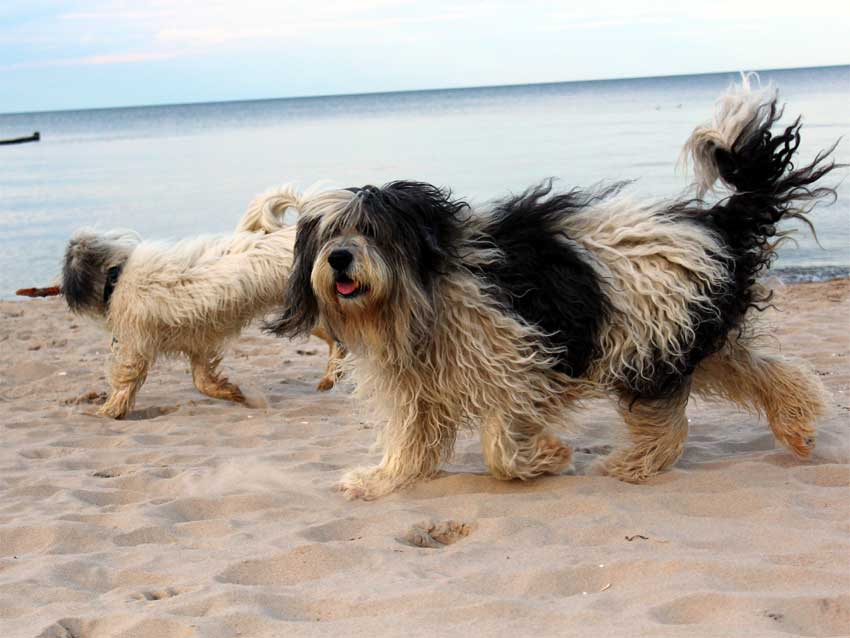 Oktober 2012 - Usedom