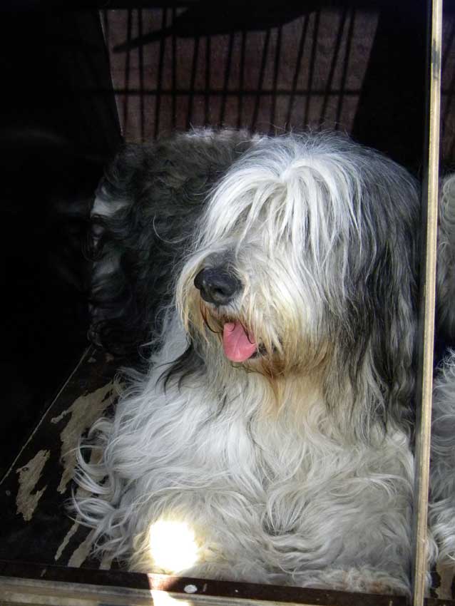 Oktober 2012 - Usedom