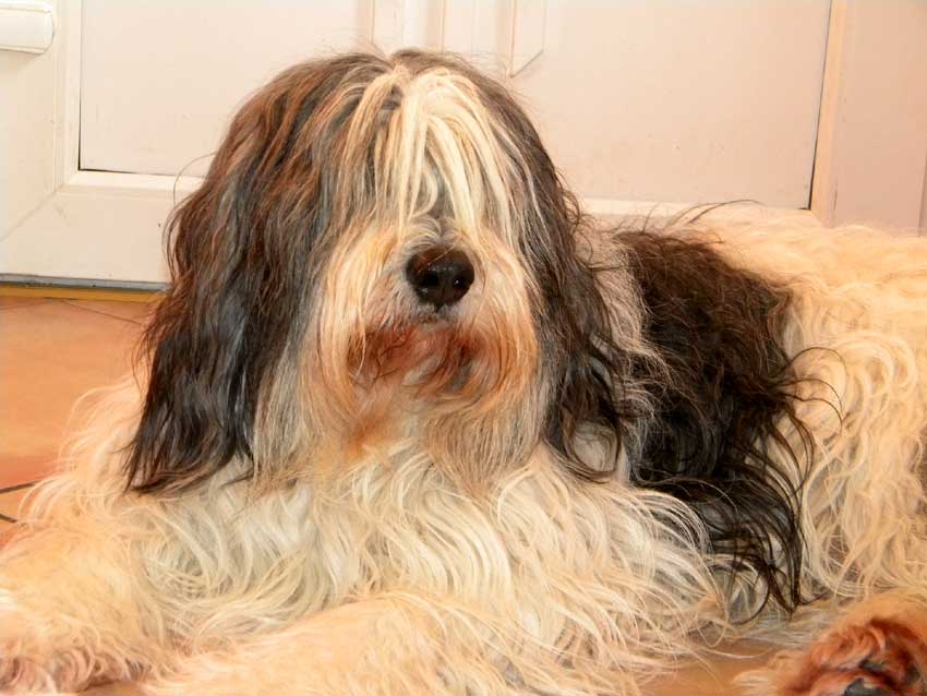 Anfang  Februar  2010 