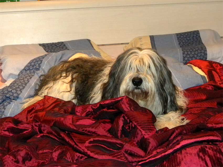 Januar 2010 - Schnell verstecken !