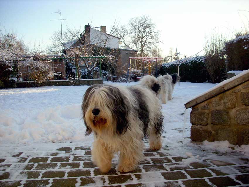 Januar 2009 - Winter