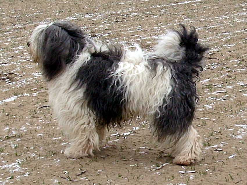 Januar 2009 - Winterspaziergang