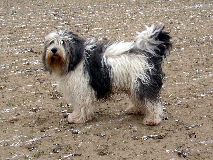 Januar 2009 - Winterspaziergang