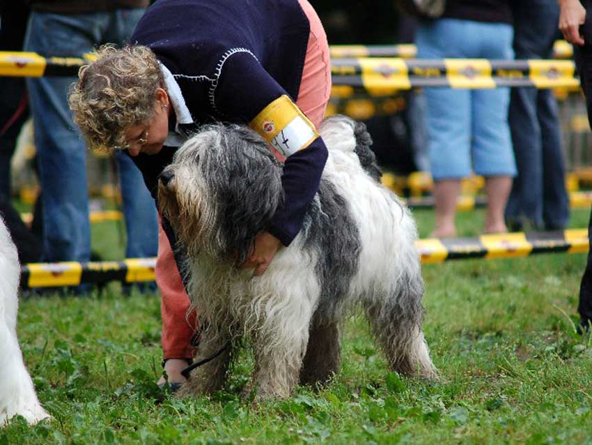 lteres Bild: Regenschlacht auf der Ausstellung Stettin 2007
