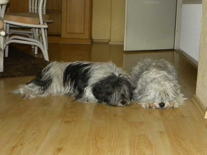 September 2010 - Patka und Wanda