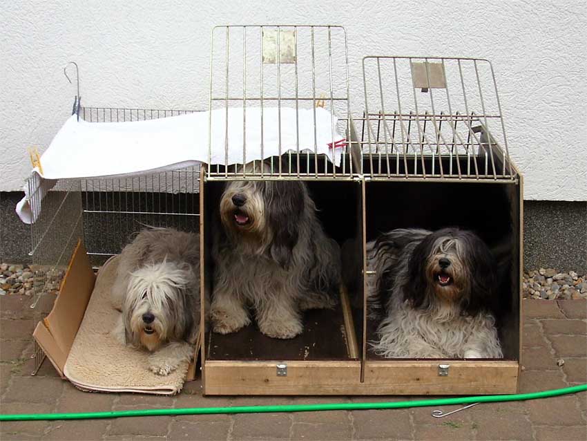 Mrz 2009 - Wir haben anbauen lassen! 