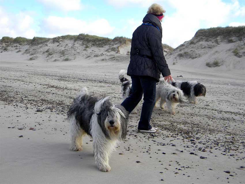 Mitte Oktober 2010 - Dnemarkurlaub