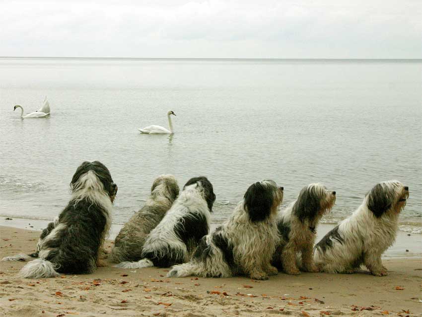 Oktober 2008 - Treffen auf Usedom