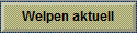 Welpen aktuell