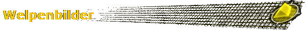 Welpenbilder