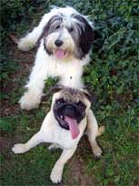 Das ist mein Freund Sam