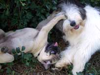 Nun spiel endlich mit mir!