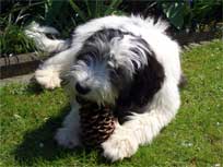 Auch ein nettes Spielzeug