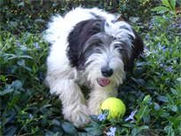 Blle sind sowieso super!