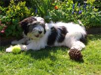 Was nehme ich denn jetzt?