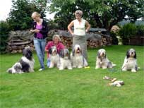 Besuch von Mama und Papa und den Bohlmnnern (Frauen).