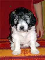 18.03.2007 Foto-Shooting