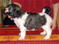 18.03.2007 Foto-Shooting