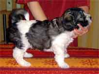 18.03.2007 Foto-Shooting