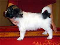 18.03.2007 Foto-Shooting