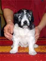 18.03.2007 Foto-Shooting