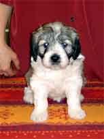 18.03.2007 Foto-Shooting