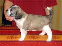 18.03.2007 Foto-Shooting