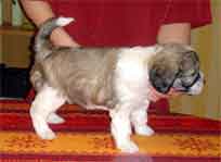 18.03.2007 Foto-Shooting