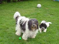 Nein, ich komm hier nicht mehr runter !!